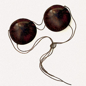 LUAU COCONUT BIKINI TOP