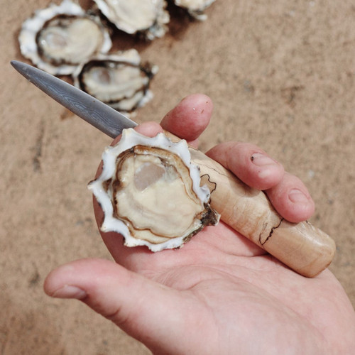 *LIMITED RELEASE* - Sunset Sweets Oysters (30 pcs)