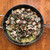 Taylor’s Butter Clam Kit