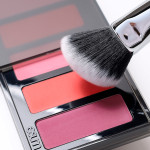 V50 Powder Blush