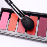 X52 - Tapered Blush Brush