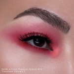 Esum Artistry Palette No5 Transform Column 2