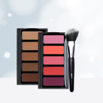 Blush & Shading Set