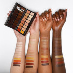 Perfect Finish Complexion Book