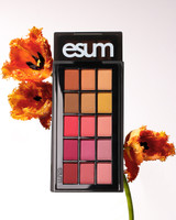 Harmony No.3 Pigment Palette