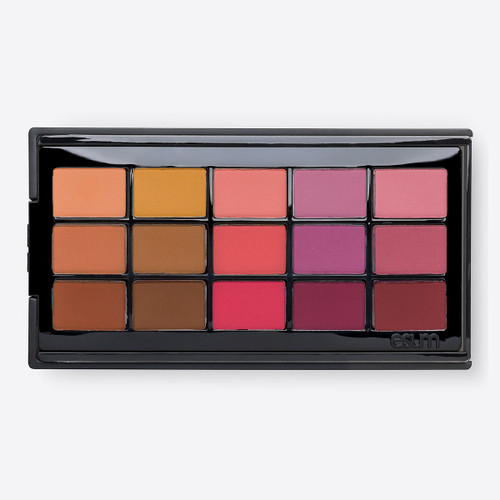 ESUM The Artistry Pigment Palette - No3 Harmony