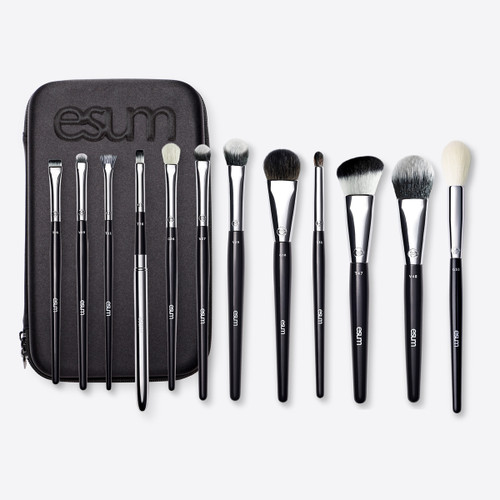 Visionary Brush Set