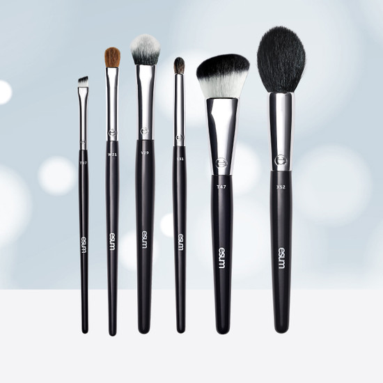 The Starter Brush Set