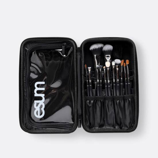 Master Brush Set with Brush Book