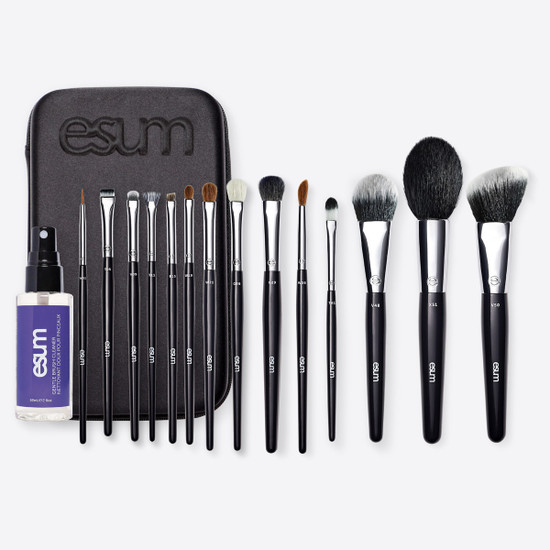 Master Brush Set