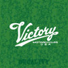 Victory Motorcycles USA Decal Vinyl Sticker