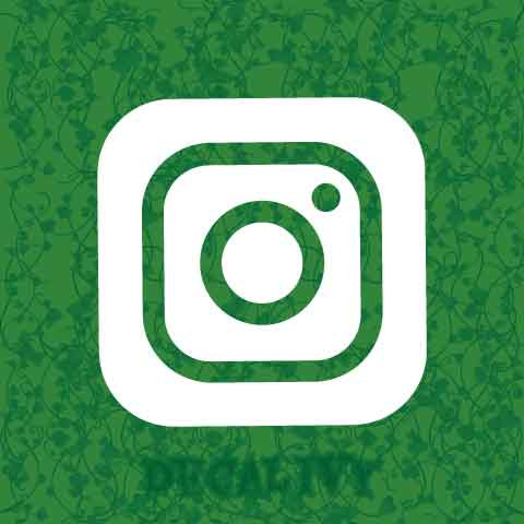 Instagram V2 Decal Vinyl Sticker