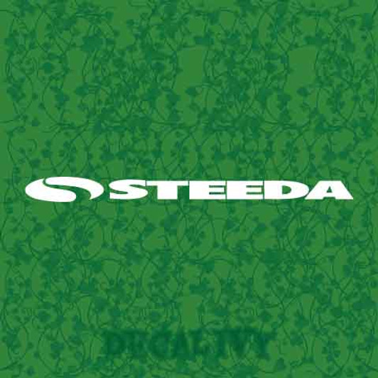 Steeda V2 Decal Vinyl Sticker