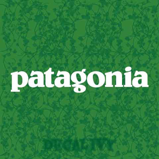 Patagonia Decal Vinyl Sticker