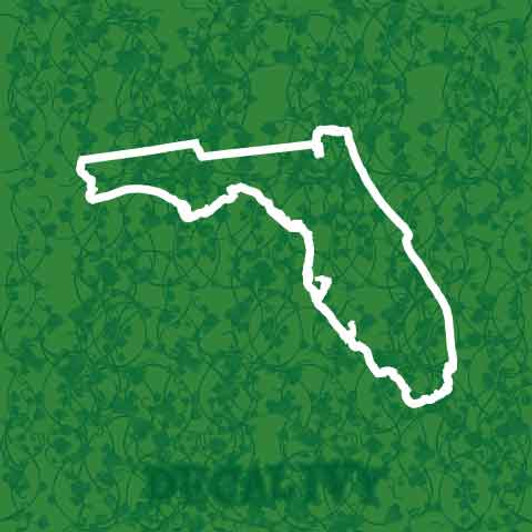 Florida State Outline Decal Vinyl Sticker