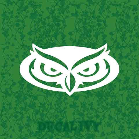 Florida Atlantic Owls Decal Vinyl Sticker