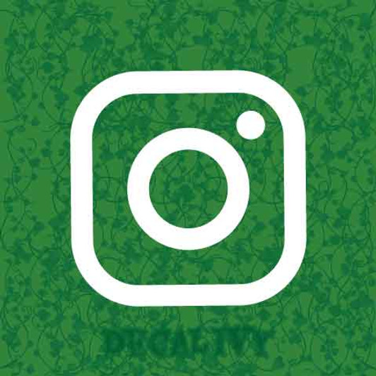 Instagram Decal Vinyl Sticker