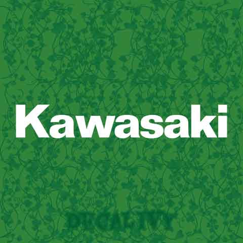 Kawasaki Text Decal Vinyl Sticker