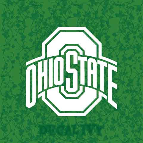 Ohio State Buckeyes Decal Vinyl Sticker