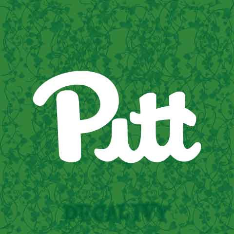 Pitt Panthers Decal Vinyl Sticker