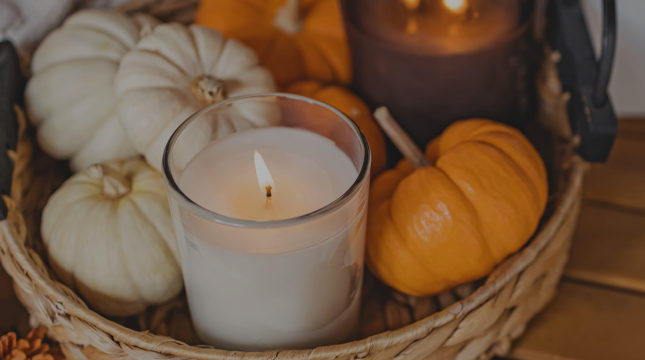 fall-favorites2.png