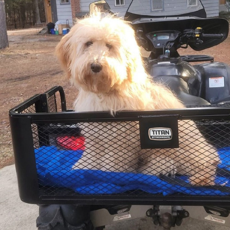 Rear Drop Rack Rear Drop Cargo Basket Rack - 150 lb. by Titan Ramps - 332010-SSS