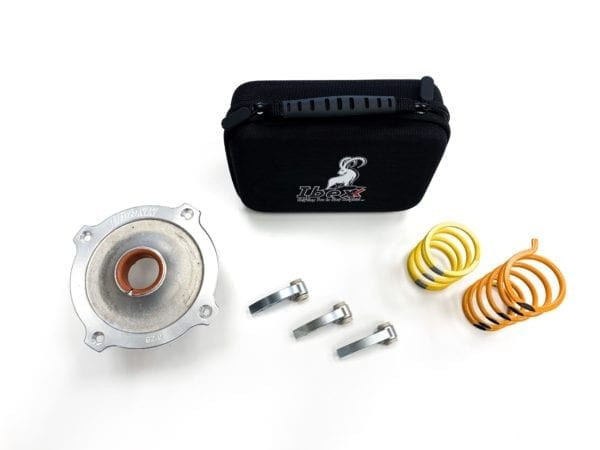 General 1000 Stage 2 Clutch Kit | IBEXX 12742-17-X-SSS