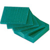 Carving Wax Ferris Green File-A-Wax Square Slices DSS-1 Square Slabs 1 Pound