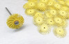 3M Radial Bristle Discs 3/4" Yellow bristle brush 80 Grit 6 discs Coarse Grade