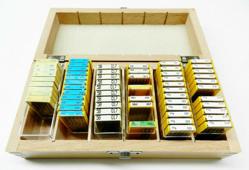 Bur Box Holder Organizer with 6 Compartments Holds Plastic 6 Packs Organized Way