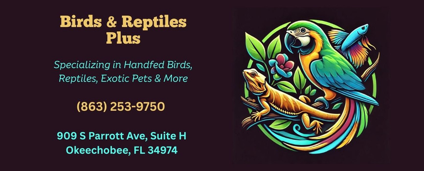 Birds & Reptiles Plus
