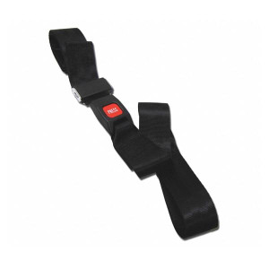 PICTURE OF A RESTRAINT STRAP, BLACK WITH A RED RELEASE BUTTON