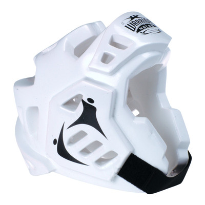 Picture of a white sparring helmet