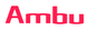 AMBU INC