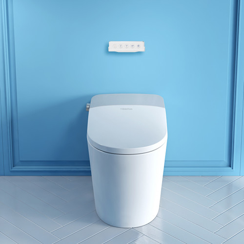 Toilet Seat Bidet (5000 Series)| Bathroom Toilets with Bidet