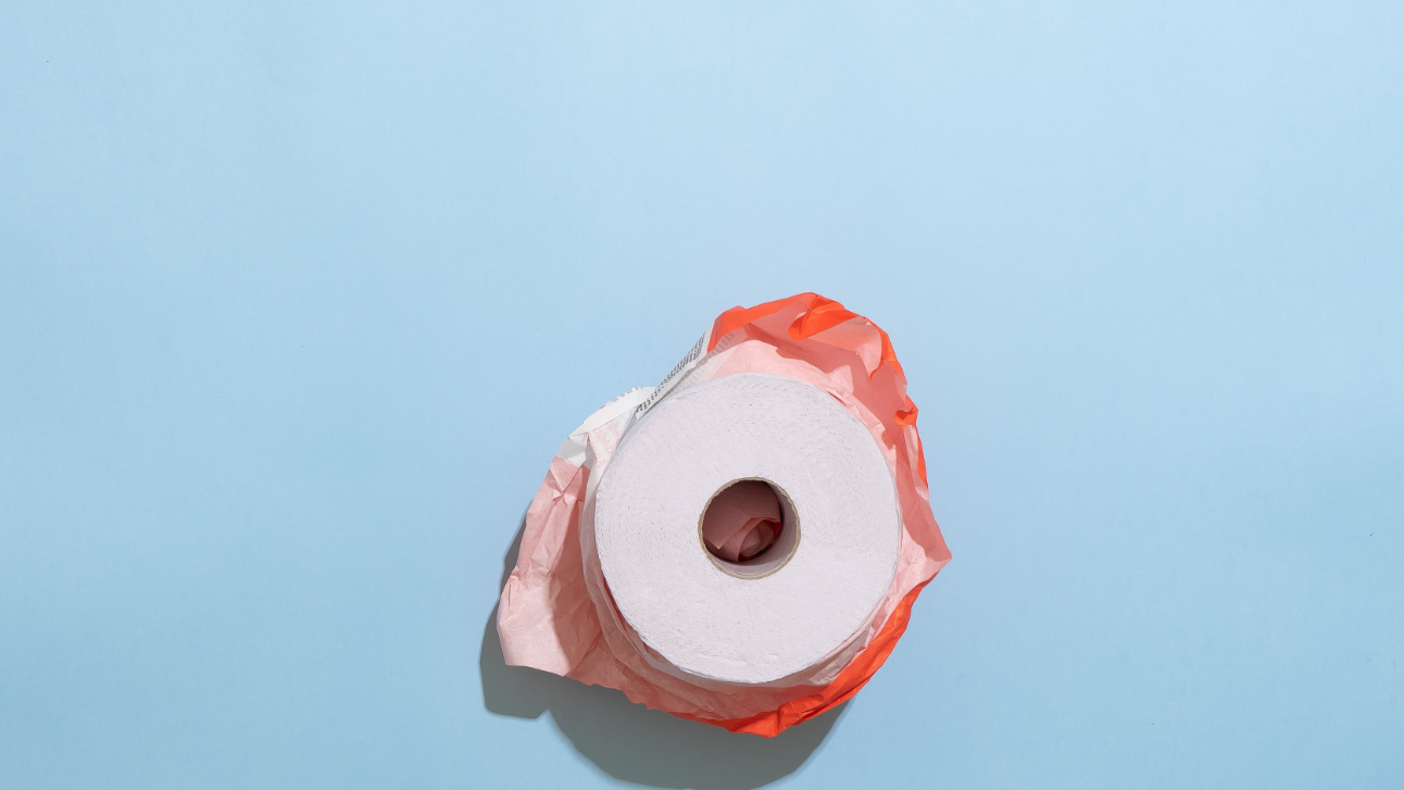 Curious About Bidets?