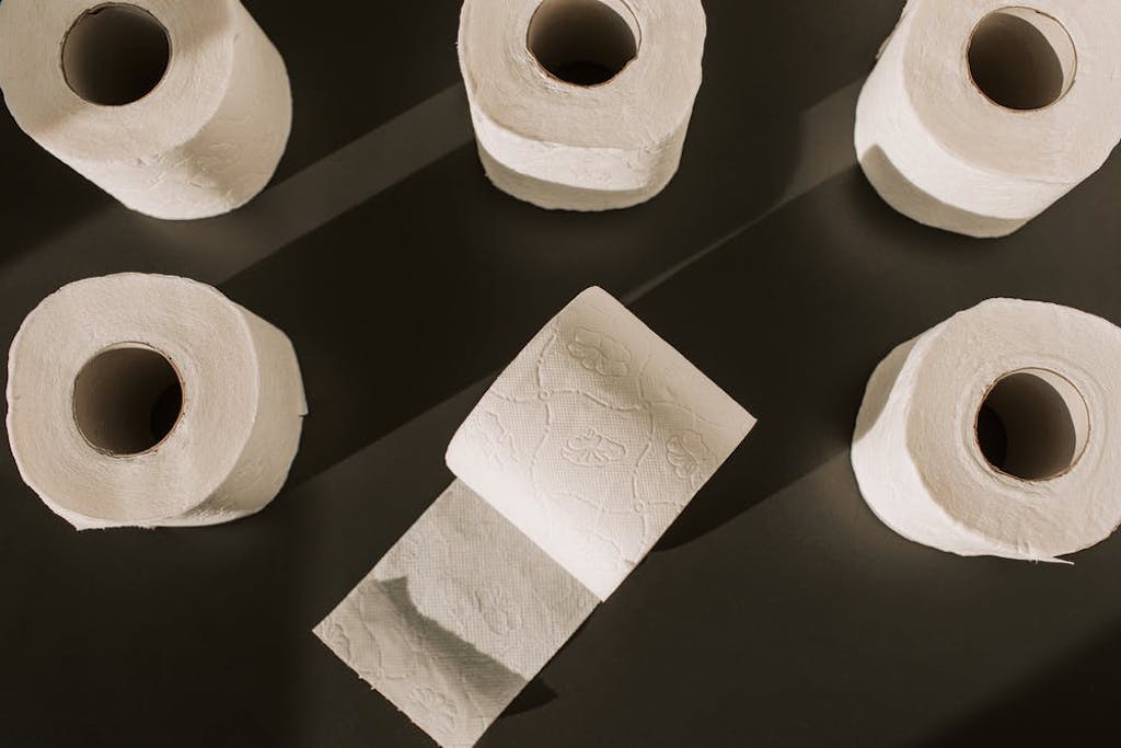 How Eliminating Toilet Paper Helps Save the Earth