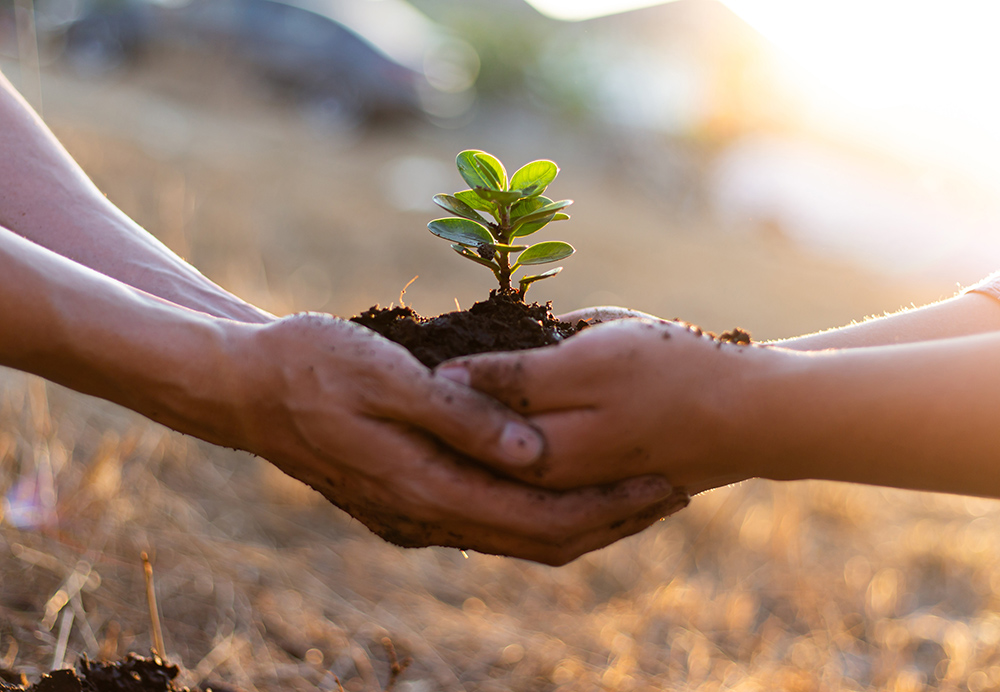 5 Ways Bidets are Better for the Environment BidetMate