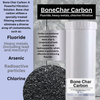 20-inch 2 Stage Big Blue Whole House Filter with Bone Char Carbon Filter - Reduces or Removes Fluoride, Radioactive Particles, and Toxic Metals