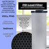 20-Inch 2 Stage Filter Kit | Sediment & Matrikx Pb1 Filters for Lead Reduction