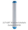 20-inch Catalytic Carbon/KDF 85 Filter