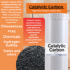 20-inch Single Canister High Flow Catalytic Carbon Whole House Filter