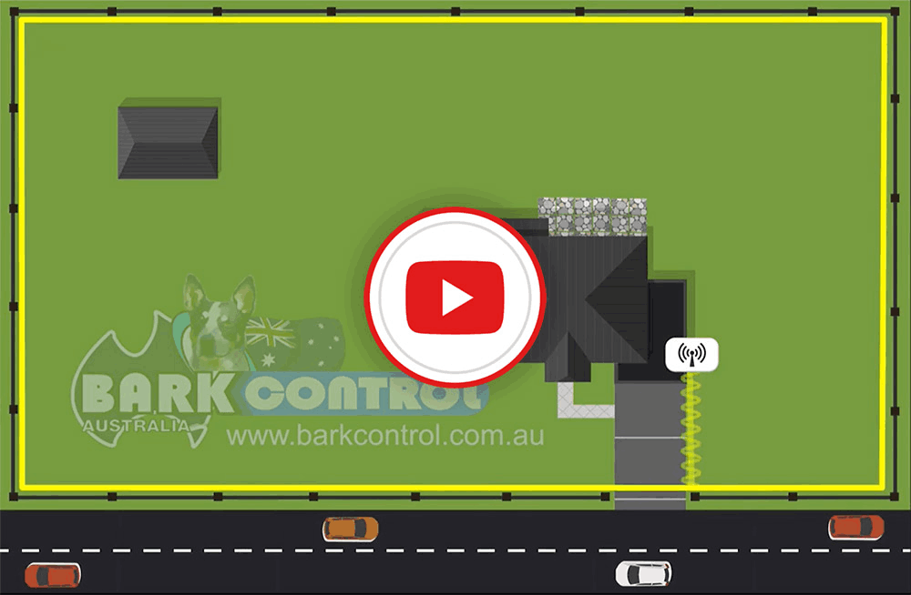 Common Dog Fence Layouts Videos K9 Control New Zealand