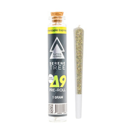Image - Serene Tree Delta-9 THC Pre Roll | Pineapple Express strain