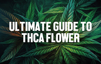 The Ultimate Guide To Smoking Medicinal Cannabis With A Water Pipe