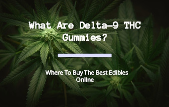 What Are Delta-9 THC Gummies | Buy The Best Delta-9 Gummies Image - What Are Delta-9 THC Gummies | Buy The Best Delta-9 Gummies