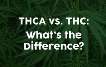 THCA vs. THC: What’s the Difference? Image - THCA vs. THC: What’s the Difference?