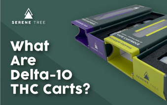 What Are Delta-10 THC Cartridges? How Much Are Delta-10 Carts Image - What Are Delta-10 THC Cartridges? How Much Are Delta-10 Carts
