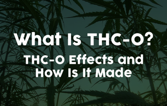 What Is THC O? THC-O Effects & How Is It Made