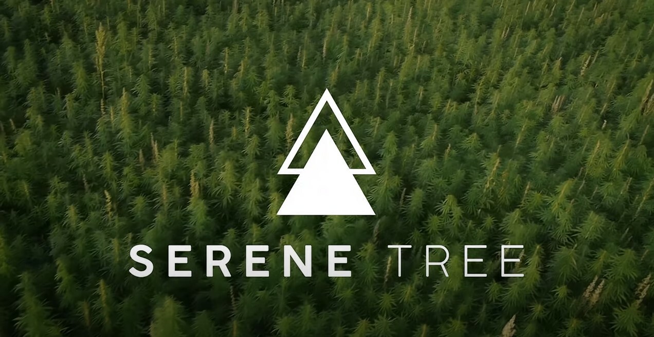 Serene Tree Youtube Channel